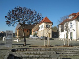 maribor reportaza9