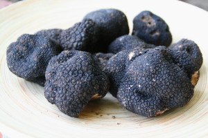 tartufi
