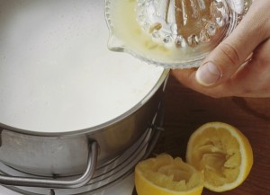 mascarpone sir1