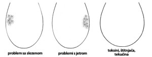 jezik5a