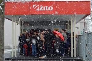 zito slovenija