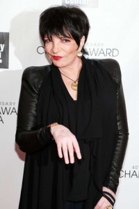 portal liza minnelli