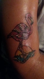 flamingo1