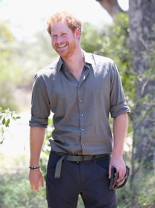 harry-rodjendan