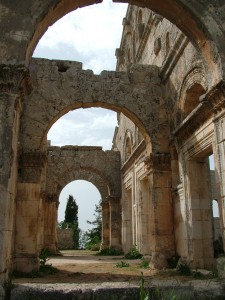 halep3