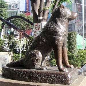 cuke hatchiko1