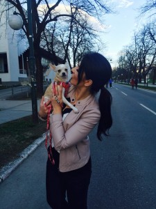 cuko ika1