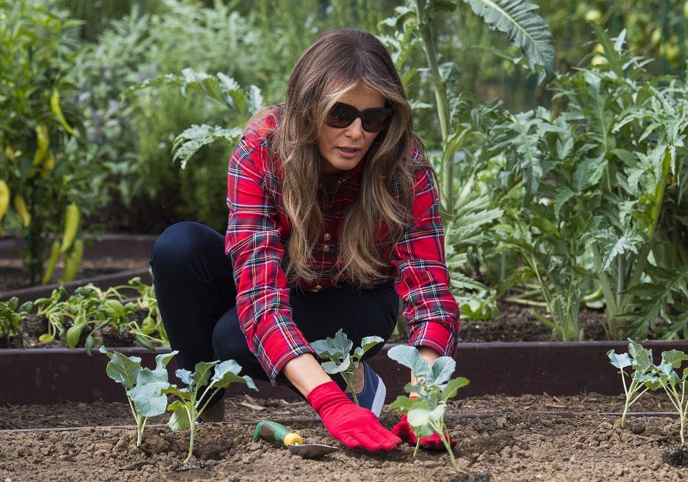 melania